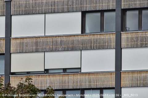 Achitektur_im_Plettzentrum_die Holzverkleidung_an_der_Fassade__MG_5013.jpg